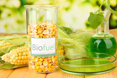 Warings Green biofuel availability